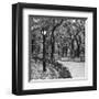 Walk Through the Park-Erin Clark-Framed Giclee Print