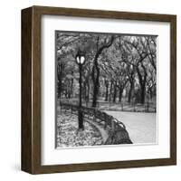 Walk Through the Park-Erin Clark-Framed Giclee Print