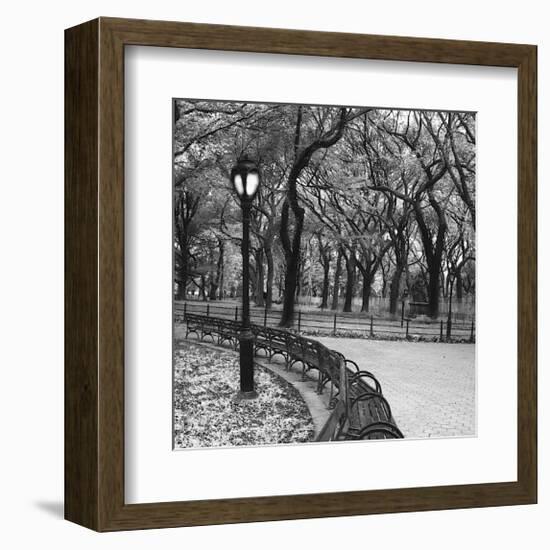 Walk Through the Park-Erin Clark-Framed Giclee Print