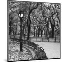 Walk Through the Park-Erin Clark-Mounted Giclee Print