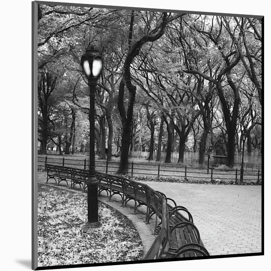 Walk Through the Park-Erin Clark-Mounted Giclee Print