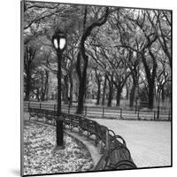 Walk Through the Park-Erin Clark-Mounted Giclee Print