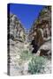 Walk to El Deir (The Monastery), Petra, Jordan-Vivienne Sharp-Stretched Canvas