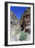 Walk to El Deir (The Monastery), Petra, Jordan-Vivienne Sharp-Framed Photographic Print