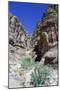 Walk to El Deir (The Monastery), Petra, Jordan-Vivienne Sharp-Mounted Photographic Print