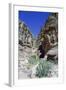 Walk to El Deir (The Monastery), Petra, Jordan-Vivienne Sharp-Framed Photographic Print