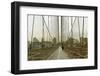 Walk Way on Brooklyn Bridge-zygotmaticus-Framed Photographic Print