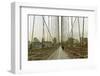 Walk Way on Brooklyn Bridge-zygotmaticus-Framed Photographic Print