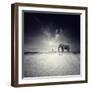 Walk with Me-Luis Beltran-Framed Premium Photographic Print