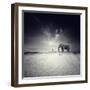 Walk with Me-Luis Beltran-Framed Photographic Print