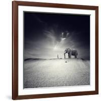 Walk with Me-Luis Beltran-Framed Photographic Print