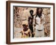 Brown Frame