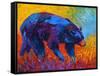 Walkabout-Marion Rose-Framed Stretched Canvas