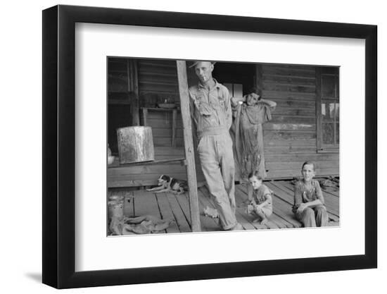 Premium Photographic Print, , large