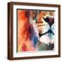 Brown Frame
