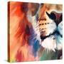 Stretched Canvas