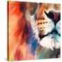 Stretched Canvas