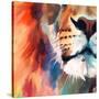 Stretched Canvas