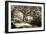 Walker's Pond I-Alan Hausenflock-Framed Photographic Print