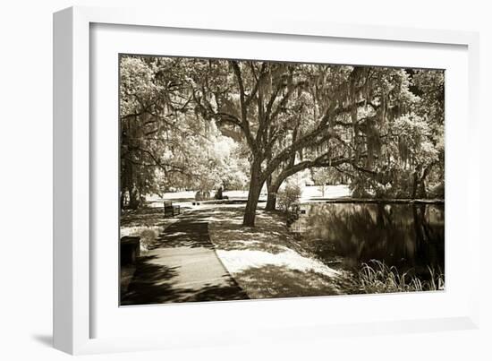 Walker's Pond I-Alan Hausenflock-Framed Photographic Print