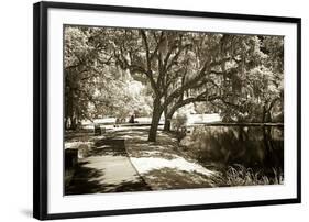 Walker's Pond I-Alan Hausenflock-Framed Photographic Print