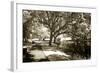 Walker's Pond I-Alan Hausenflock-Framed Photographic Print