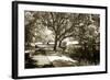 Walker's Pond I-Alan Hausenflock-Framed Photographic Print