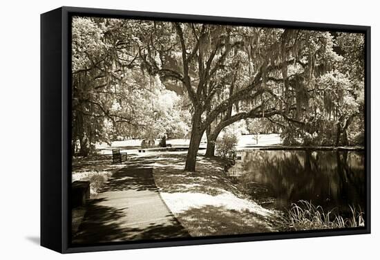 Walker's Pond I-Alan Hausenflock-Framed Stretched Canvas