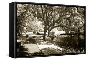 Walker's Pond I-Alan Hausenflock-Framed Stretched Canvas