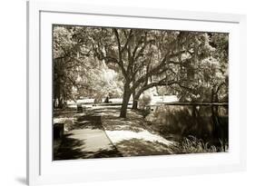 Walker's Pond I-Alan Hausenflock-Framed Photographic Print