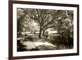 Walker's Pond I-Alan Hausenflock-Framed Photographic Print