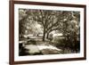 Walker's Pond I-Alan Hausenflock-Framed Photographic Print