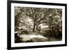 Walker's Pond I-Alan Hausenflock-Framed Photographic Print