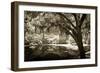 Walker's Pond II-Alan Hausenflock-Framed Photographic Print