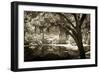 Walker's Pond II-Alan Hausenflock-Framed Photographic Print