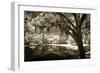 Walker's Pond II-Alan Hausenflock-Framed Photographic Print