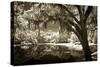 Walker's Pond II-Alan Hausenflock-Stretched Canvas