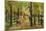 Walkers in the Tiergarten; Spazierganger Im Tiergarten, 1918-Max Liebermann-Mounted Giclee Print