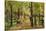 Walkers in the Tiergarten-Max Liebermann-Stretched Canvas