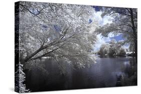 Walkerton Millpond I-Alan Hausenflock-Stretched Canvas