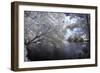 Walkerton Millpond I-Alan Hausenflock-Framed Photographic Print