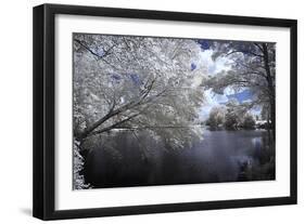 Walkerton Millpond I-Alan Hausenflock-Framed Photographic Print