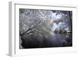 Walkerton Millpond I-Alan Hausenflock-Framed Photographic Print