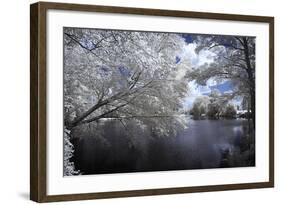 Walkerton Millpond I-Alan Hausenflock-Framed Photographic Print