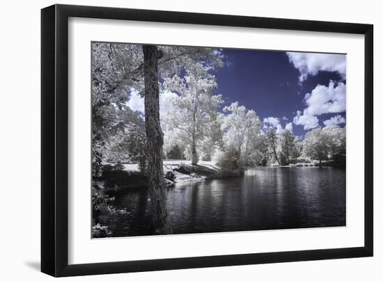 Walkerton Millpond II-Alan Hausenflock-Framed Premium Photographic Print