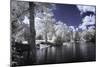 Walkerton Millpond II-Alan Hausenflock-Mounted Premium Photographic Print