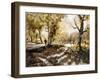 Walking beside Rudyard lake-Mary Smith-Framed Giclee Print