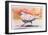 Walking Dove, Trasierra, 1998-Mark Adlington-Framed Giclee Print