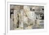 Walking Down the Street Neutral Crop-Silvia Vassileva-Framed Premium Giclee Print