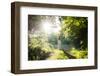 Walking Fairy-PetarPaunchev-Framed Photographic Print